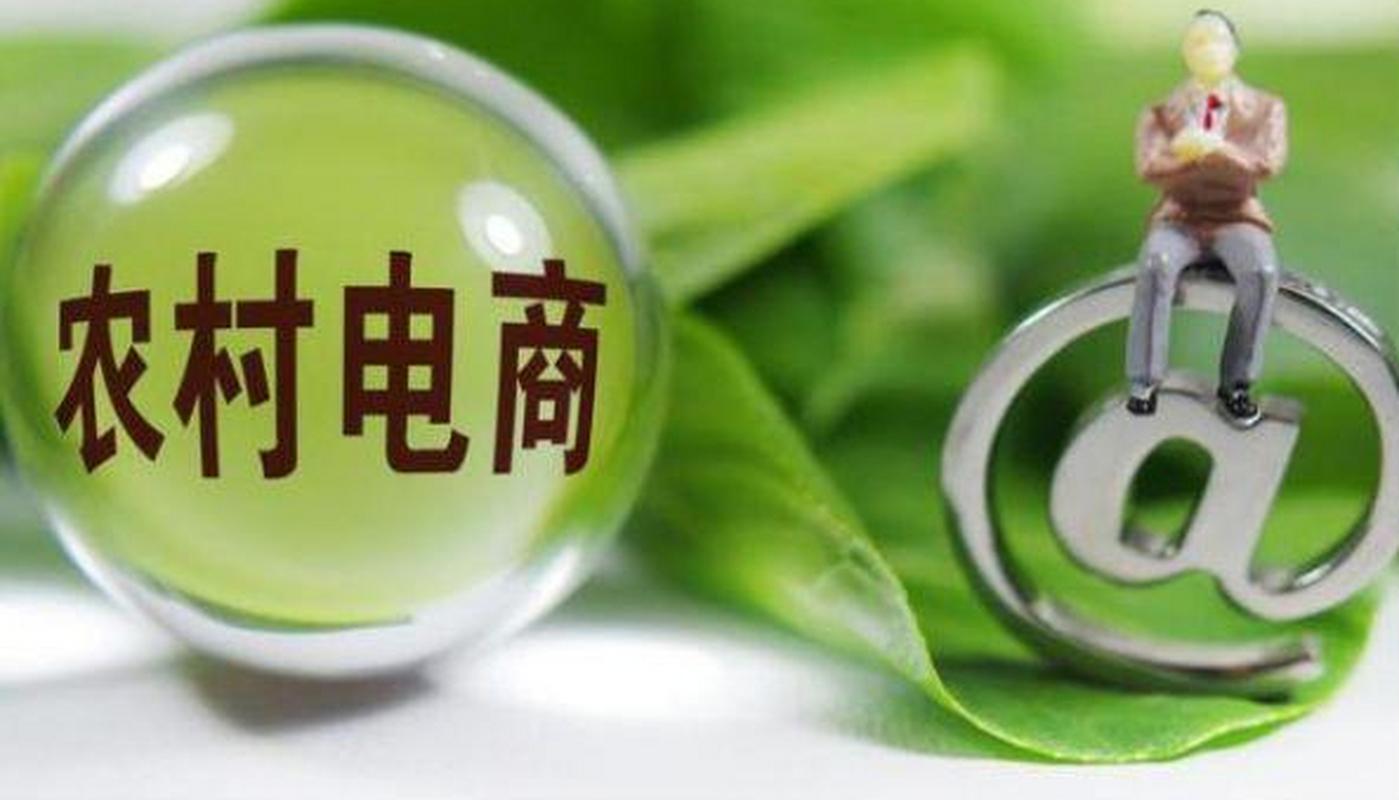 數(shù)字化浪潮下農(nóng)產(chǎn)品電商系統(tǒng)建設(shè)的必要性研究